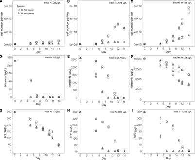 Dynamic Phycobilin Pigment Variations in Diazotrophic and Non-diazotrophic Cyanobacteria Batch Cultures Under Different Initial Nitrogen Concentrations